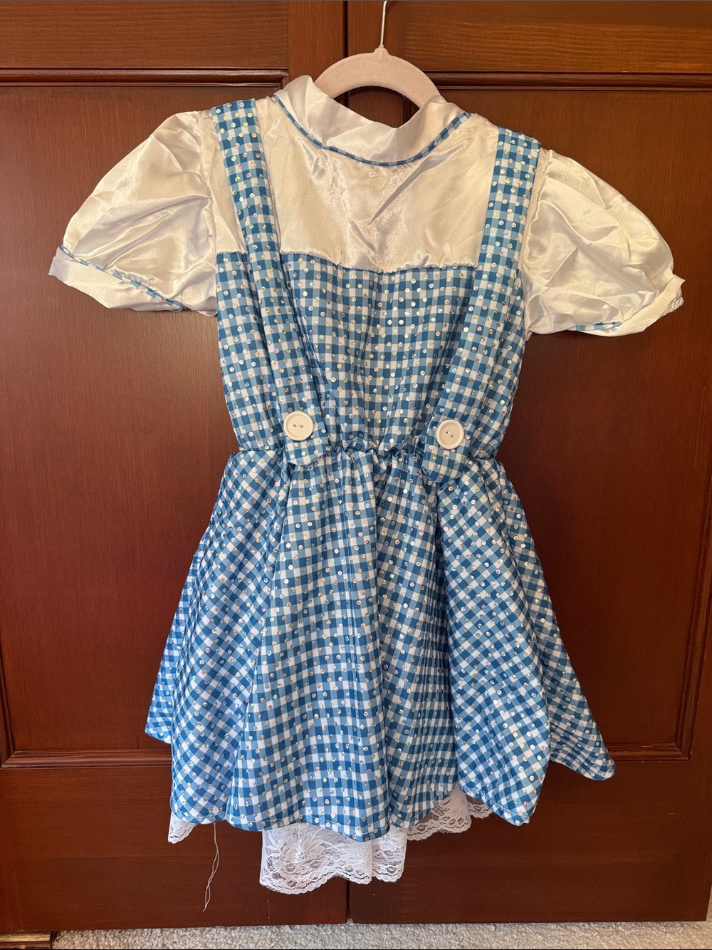 Dorothy Wizard of Oz Costume